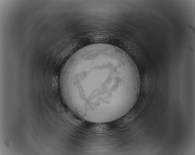 X0000100480278200807031859