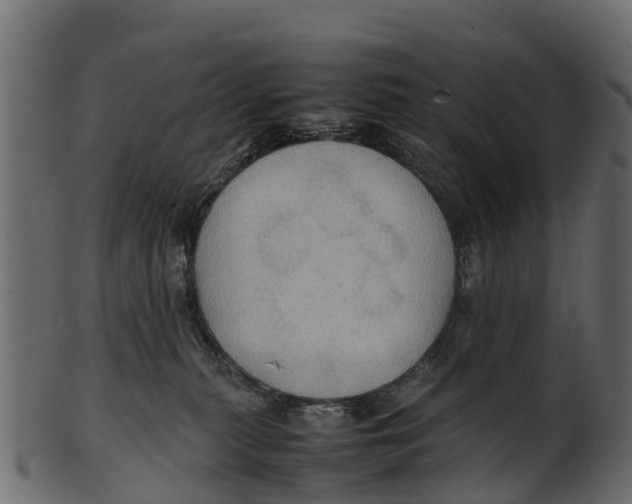 X0000100480279200807031859