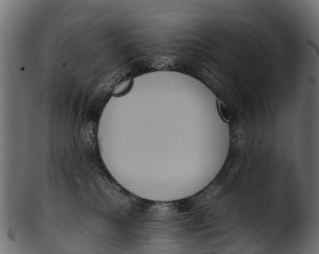 X0000100480280200807031859