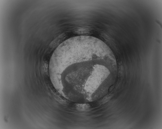 X0000100480281200807031859