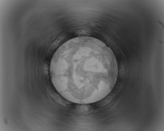 X0000100480282200807031859