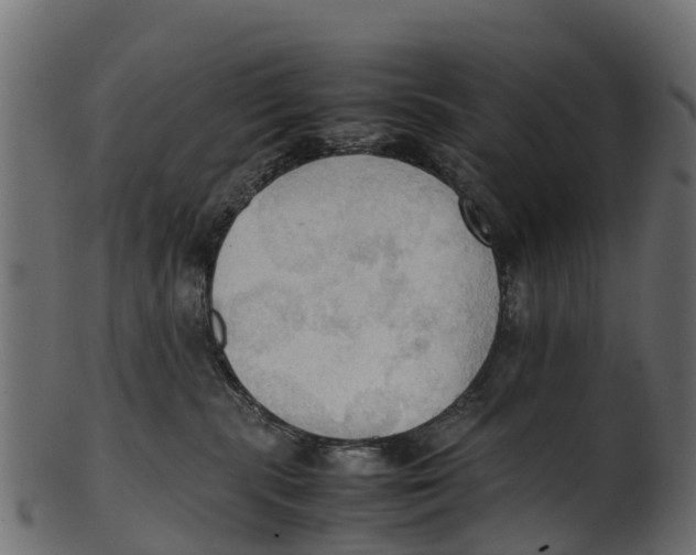 X0000100480283200807031859