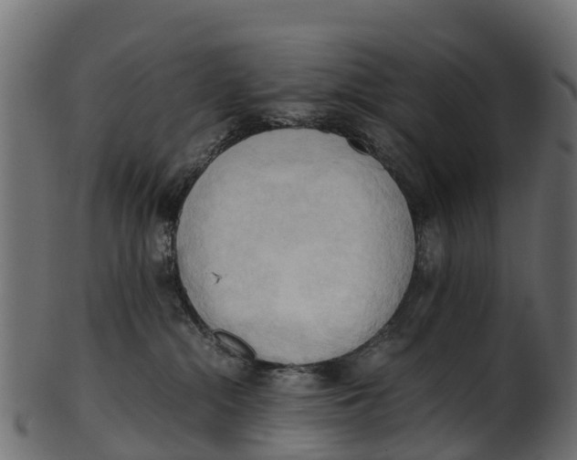 X0000100480284200807031859