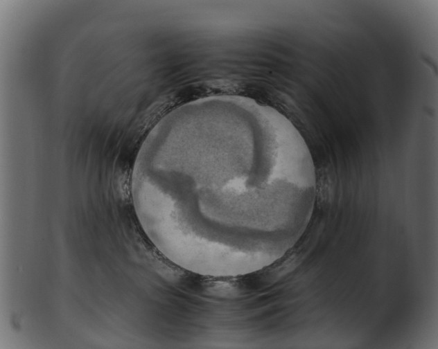 X0000100480285200807031859