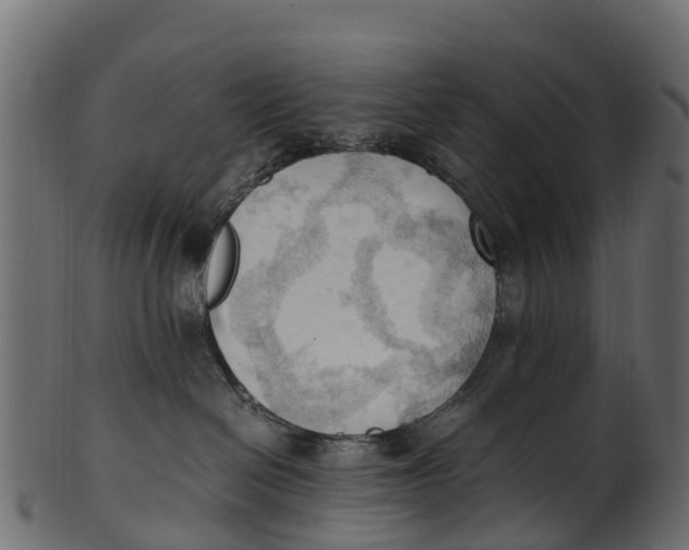 X0000100480286200807031859