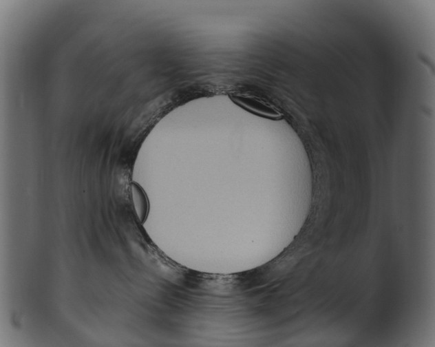 X0000100480288200807031859