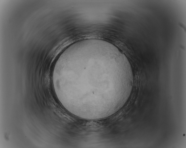 X0000100480290200807031858