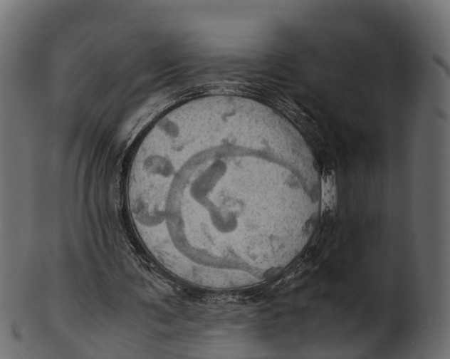 X0000100480291200807031858