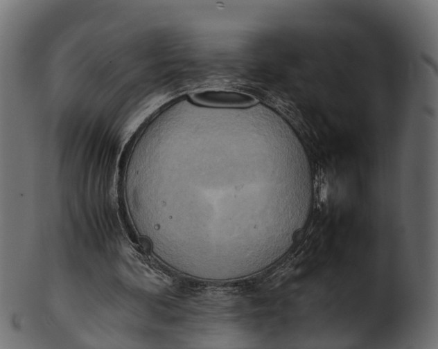 X0000100480292200807031858