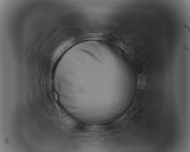 X0000100480293200807031858