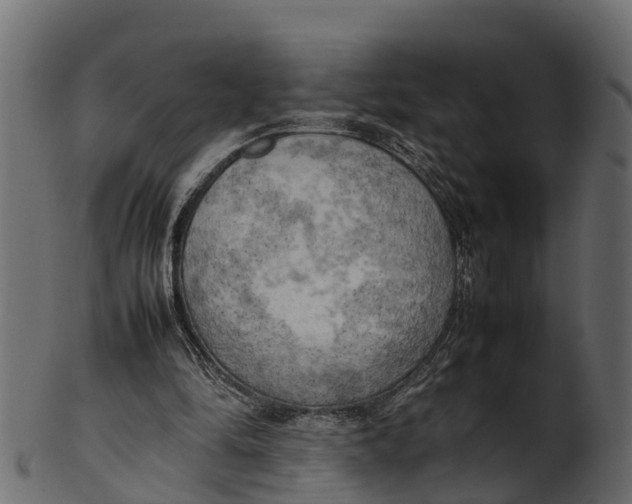 X0000100480294200807031858