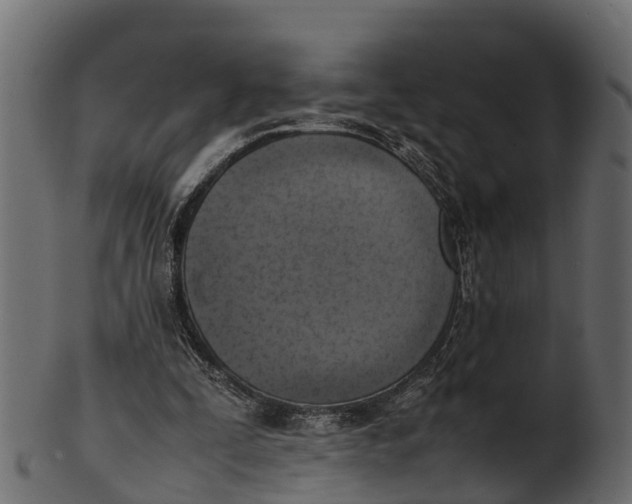 X0000100480295200807031858