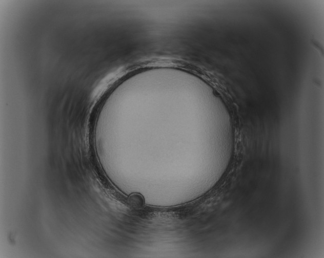 X0000100480296200807031858