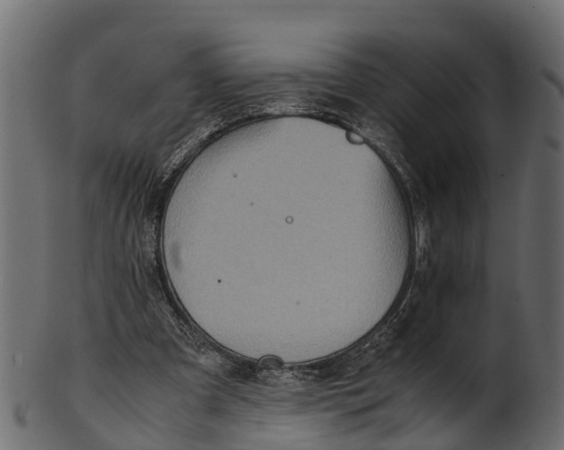 X0000100480297200807031858