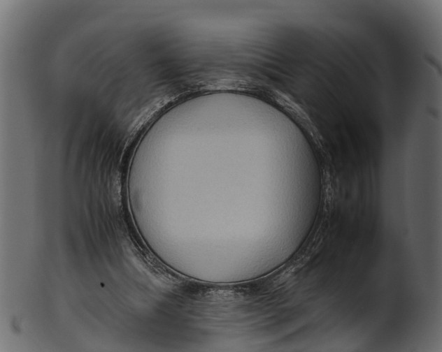 X0000100480298200807031858