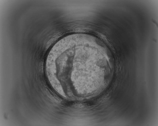 X0000100480299200807031858