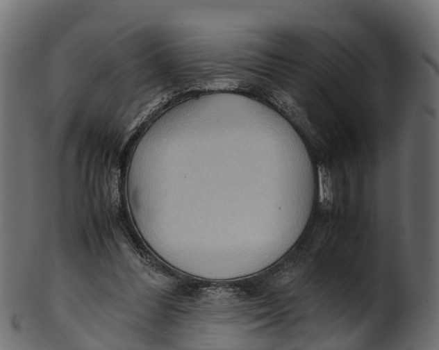 X0000100480300200807031858