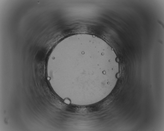 X0000100480301200807031858