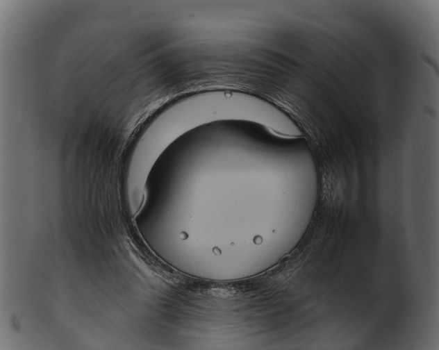 X0000100480302200807031858