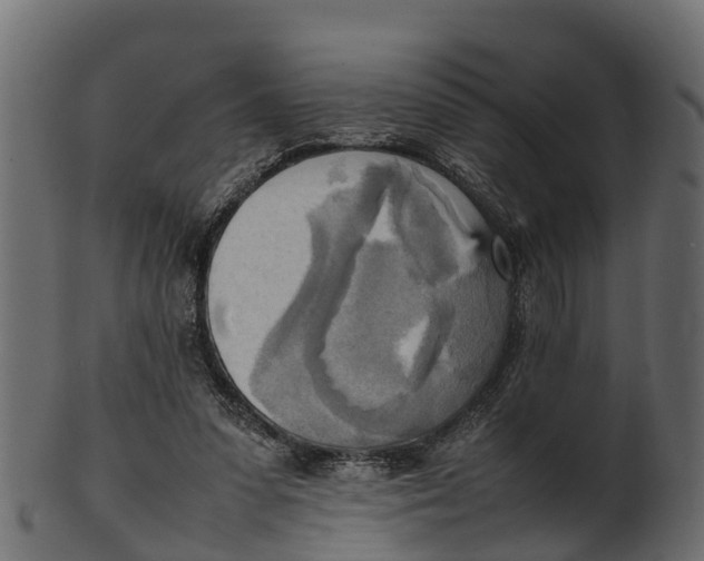 X0000100480303200807031858