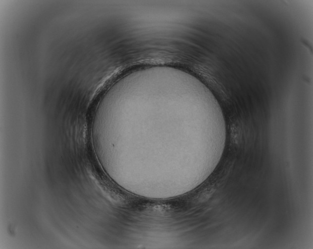 X0000100480304200807031858