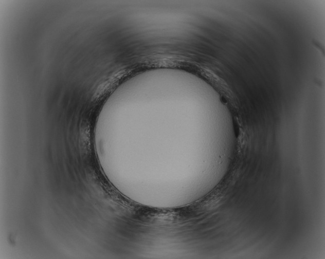 X0000100480306200807031858