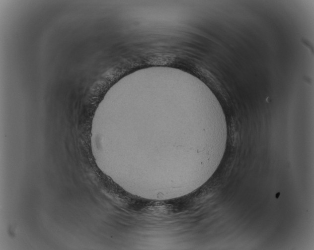 X0000100480307200807031858