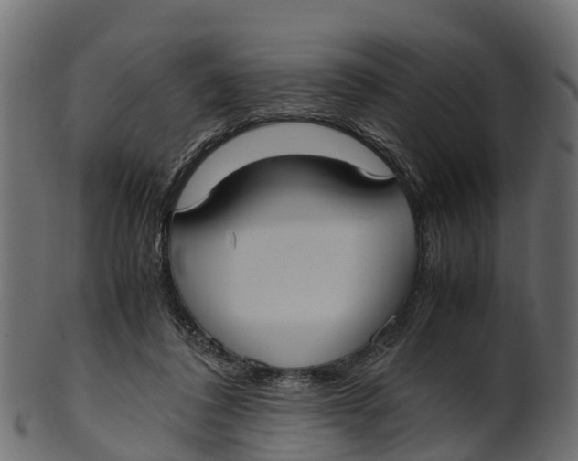 X0000100480308200807031858