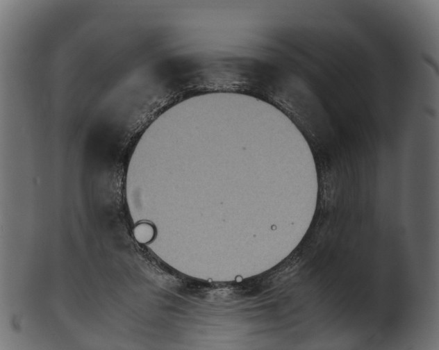 X0000100480309200807031858