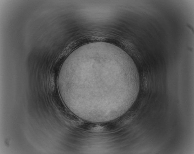 X0000100480312200807031858