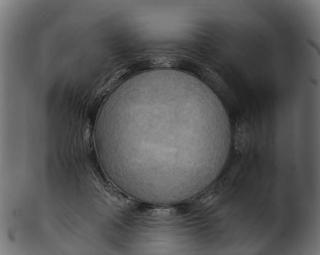 X0000100480314200807031858