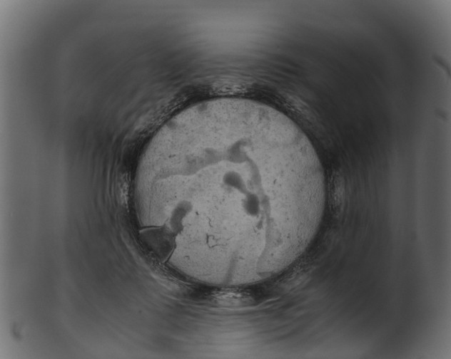 X0000100480315200807031858