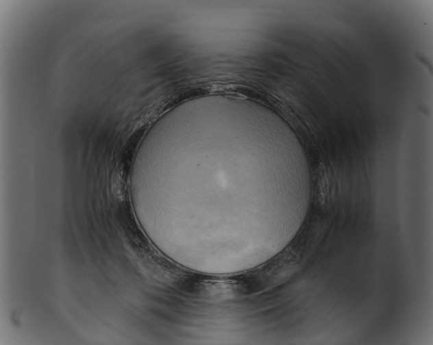 X0000100480316200807031858