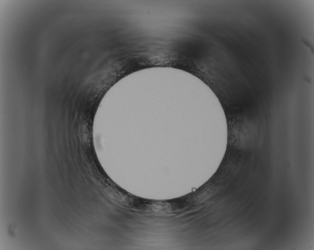 X0000100480317200807031858