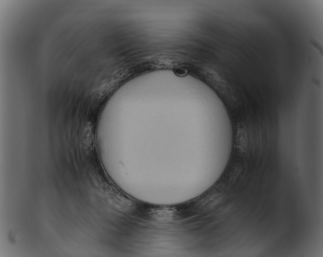 X0000100480318200807031858