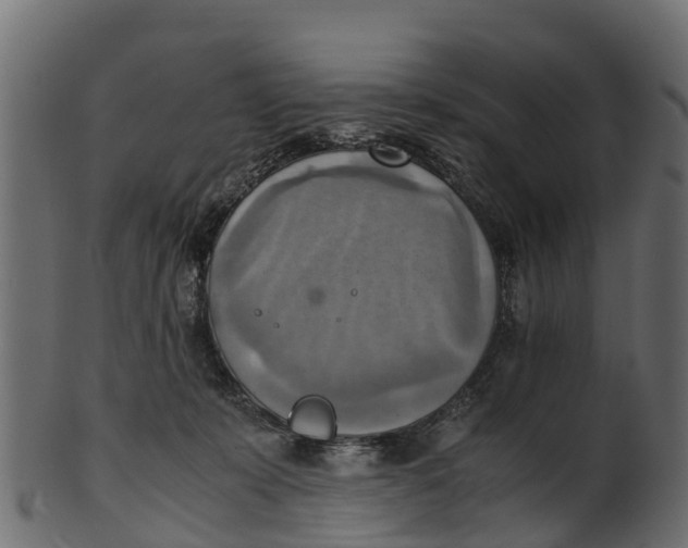 X0000100480319200807031858