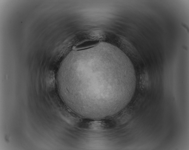 X0000100480320200807031858