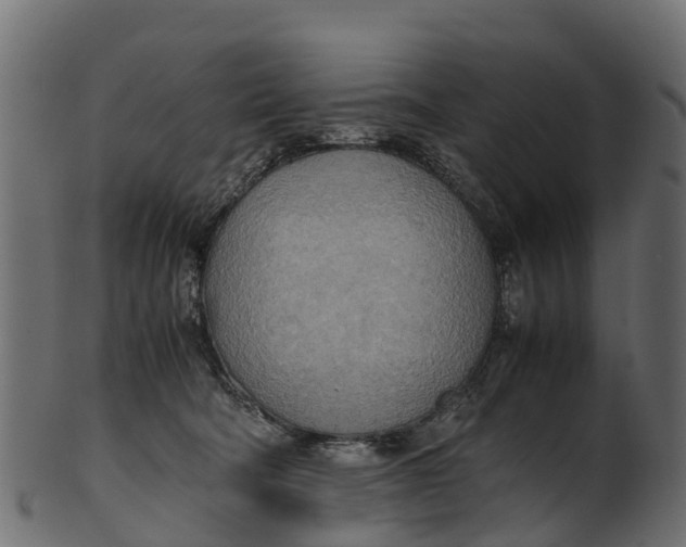 X0000100480322200807031858