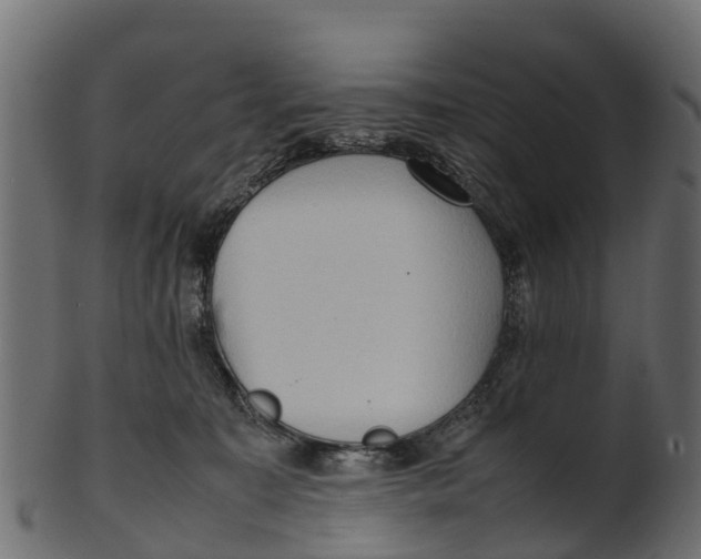 X0000100480323200807031858