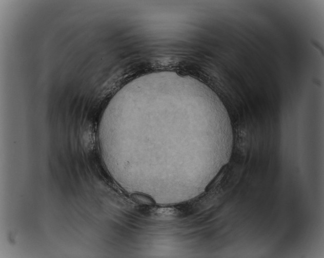 X0000100480324200807031858