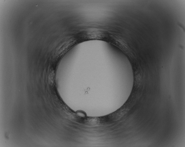 X0000100480325200807031858