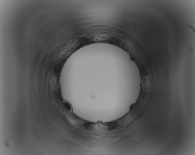 X0000100480327200807031858