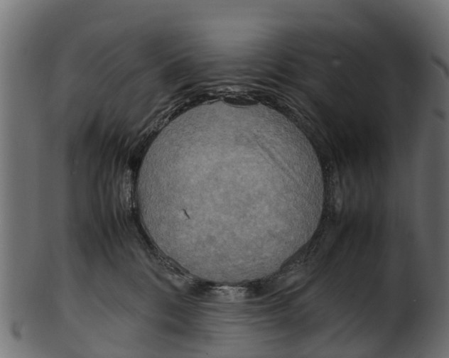 X0000100480328200807031858