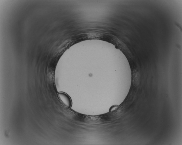 X0000100480329200807031858