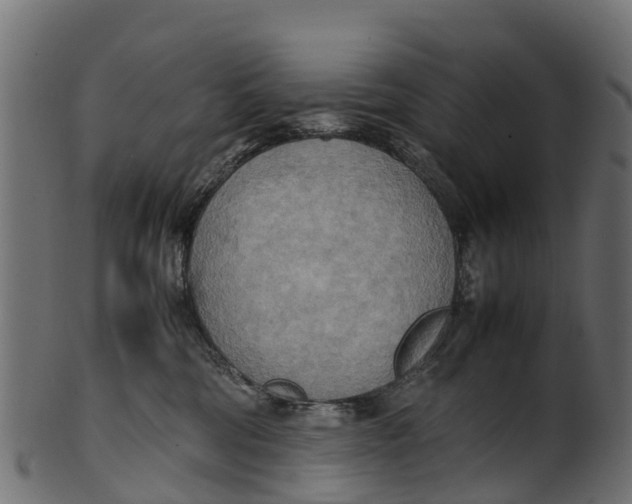 X0000100480330200807031858