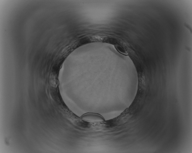 X0000100480331200807031858