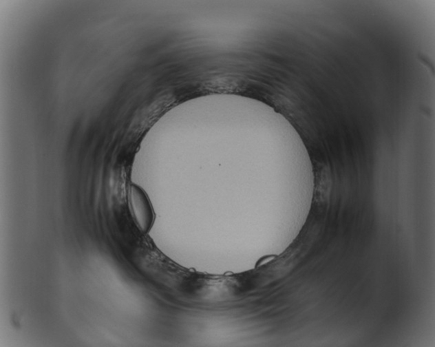 X0000100480334200807031858