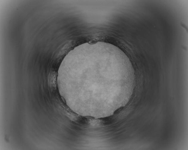 X0000100480336200807031858