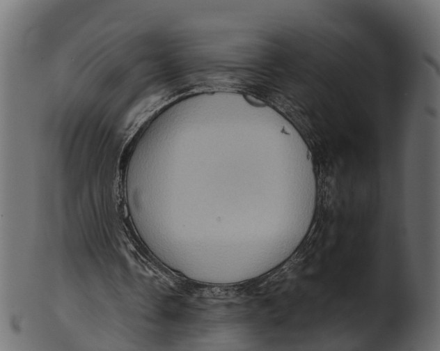 X0000100480338200807031857