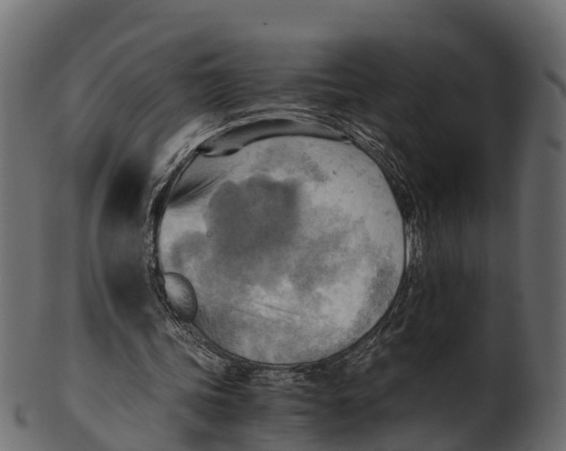 X0000100480339200807031857